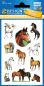 Mobile Preview: horses paper stickers mica